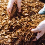 benefits of mulching