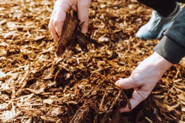 benefits of mulching