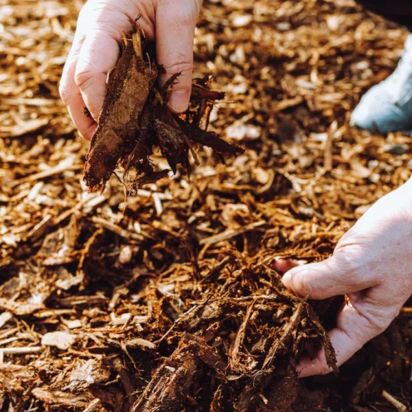 benefits of mulching