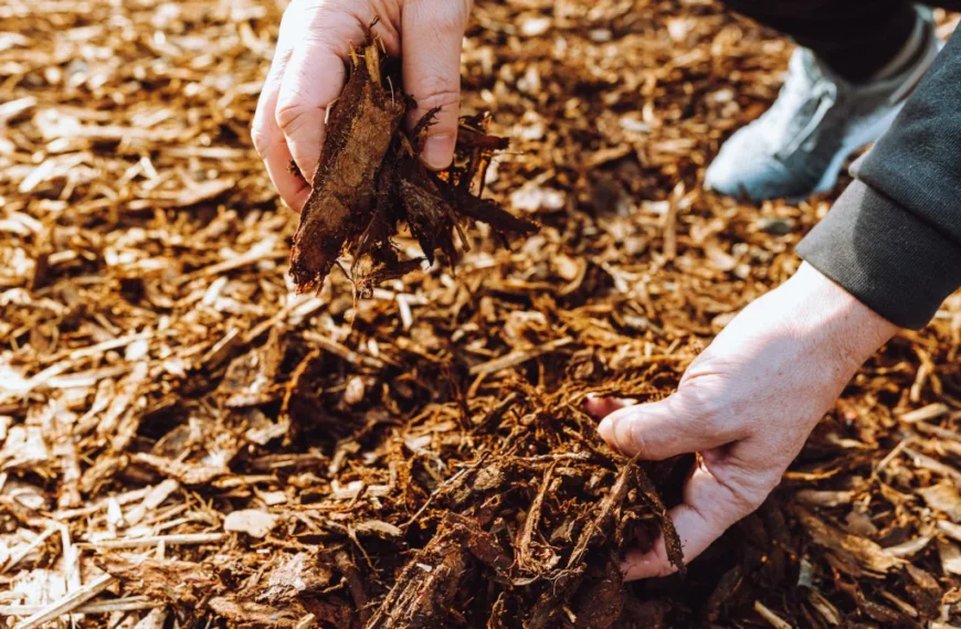 benefits of mulching