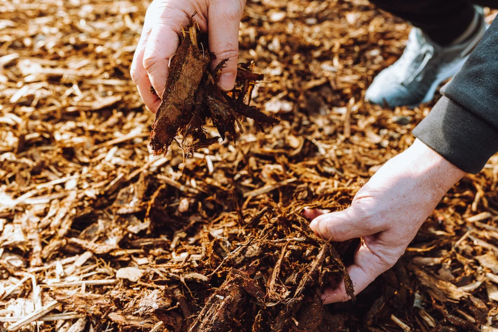 benefits of mulching
