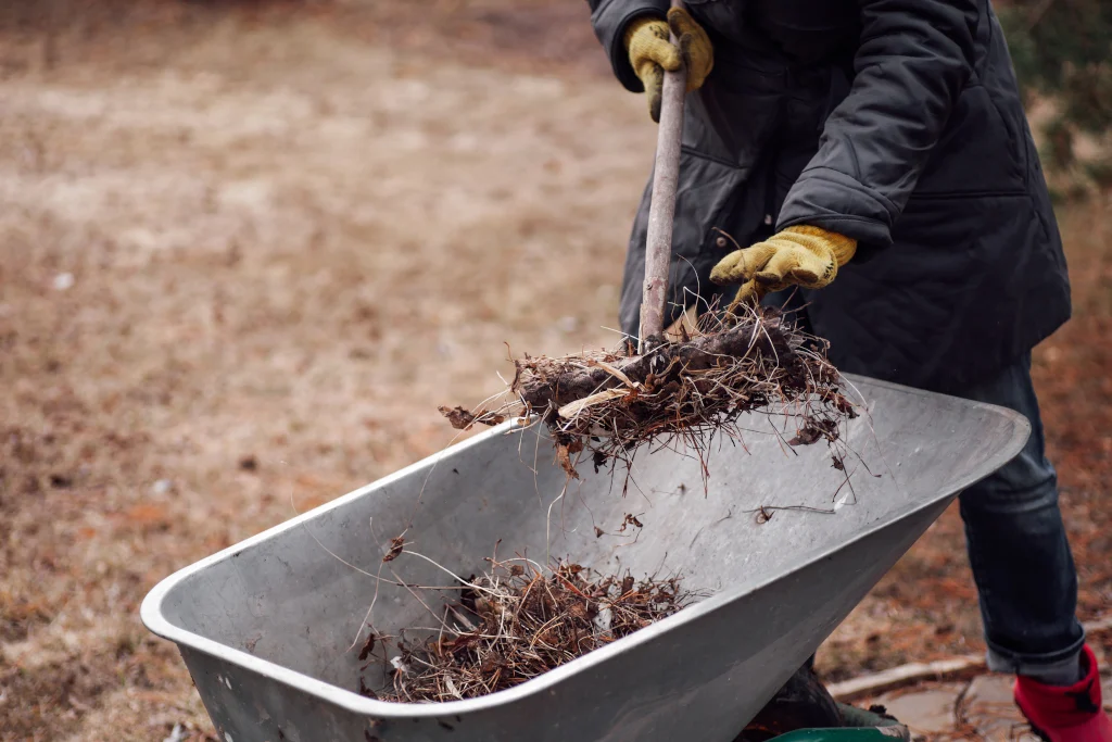 cropped-farm-worker-cleaning-weeding-yard-picking-dried-plants-grass-in-wheelbarrow-for-future-compost-soil-caring