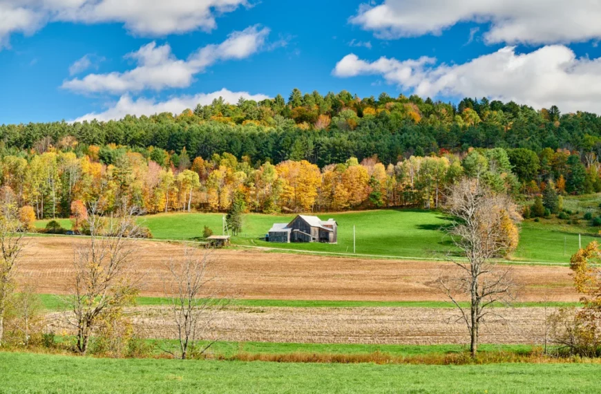 living off-the-grid in massachusetts
