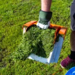Mulching With Grass Clippings: What You Need To Know