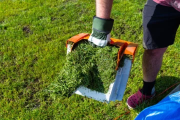 Mulching With Grass Clippings: What You Need To Know