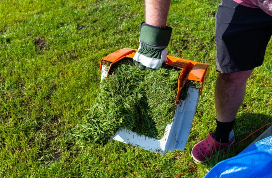 Mulching With Grass Clippings: What You Need To Know