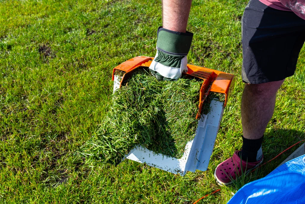 Mulching With Grass Clippings: What You Need To Know