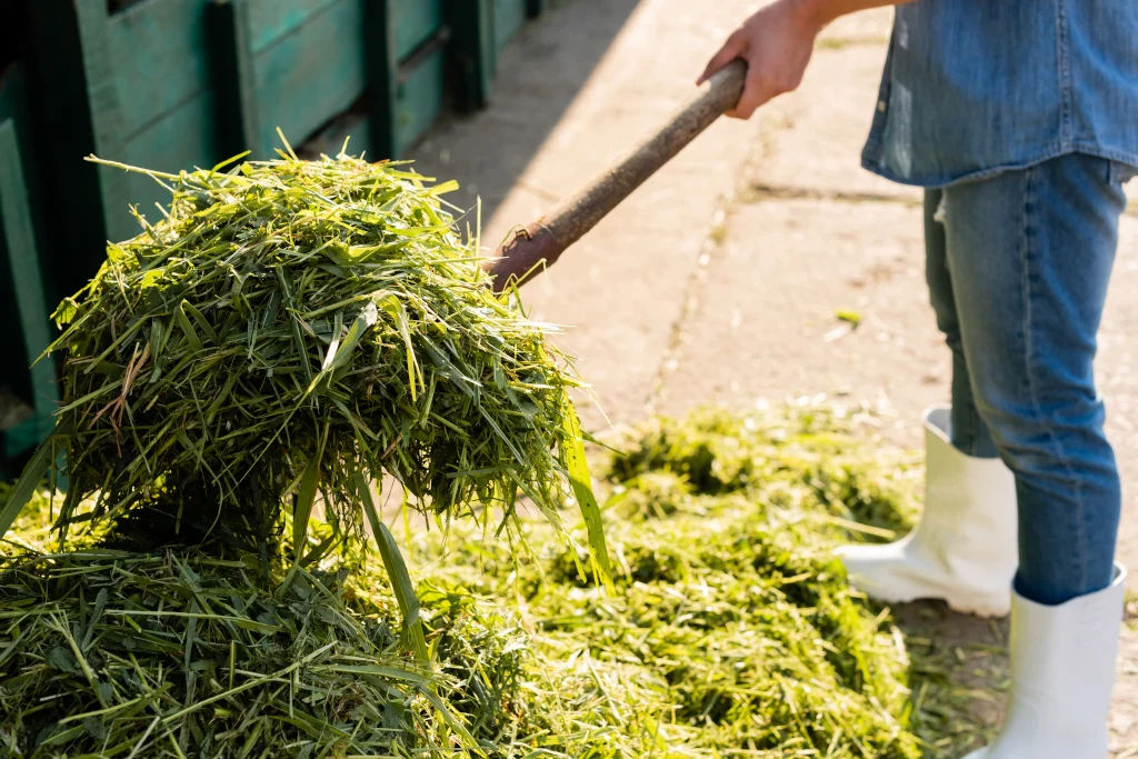 cropped-view-of-farmer-stacking-hay-while-working-in-farm