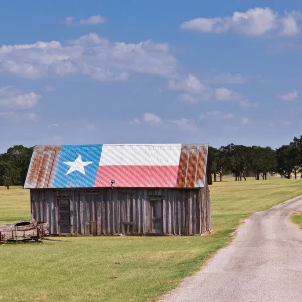 where to start homesteading in texas