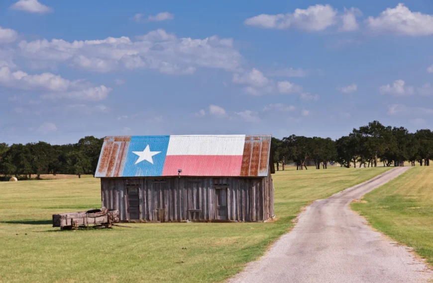 where to start homesteading in texas