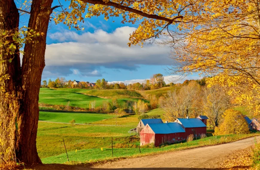 Where’s the Best Place to Live Off-Grid in Ohio?