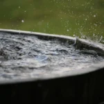 How to Collect Rainwater for Off Grid Living
