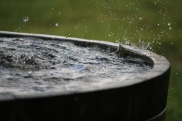 How to Collect Rainwater for Off Grid Living