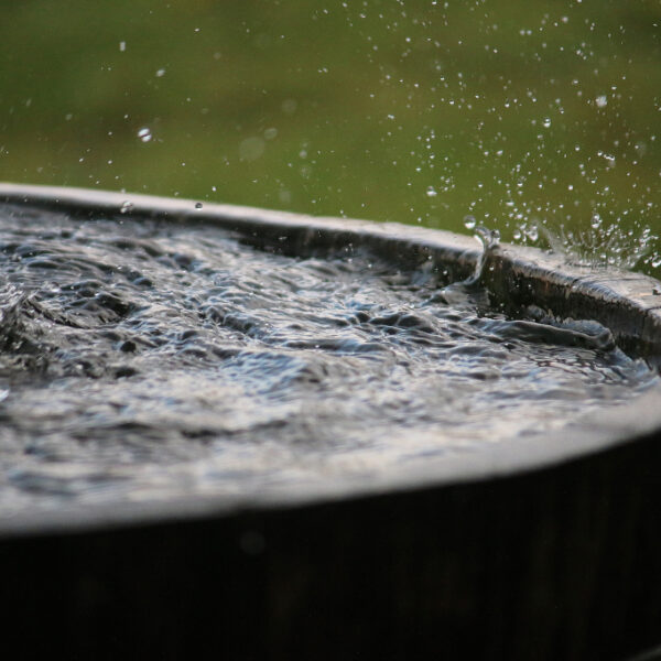 how-to-collect-rainwater-for-off-grid-living