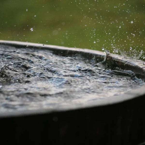 How to Collect Rainwater for Off Grid Living