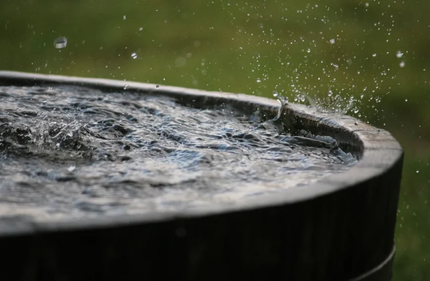 How to Collect Rainwater for Off Grid Living