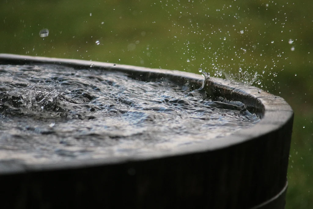 How to Collect Rainwater for Off Grid Living