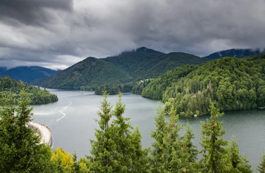 Forested hills around a lake in western Washington under cloudy skies