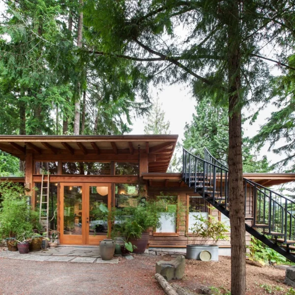 This Off Grid Cabin Has a Living Roof!