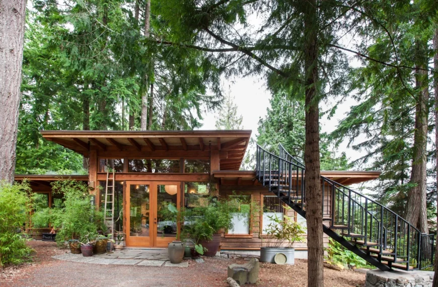 This Off Grid Cabin Has a Living Roof!