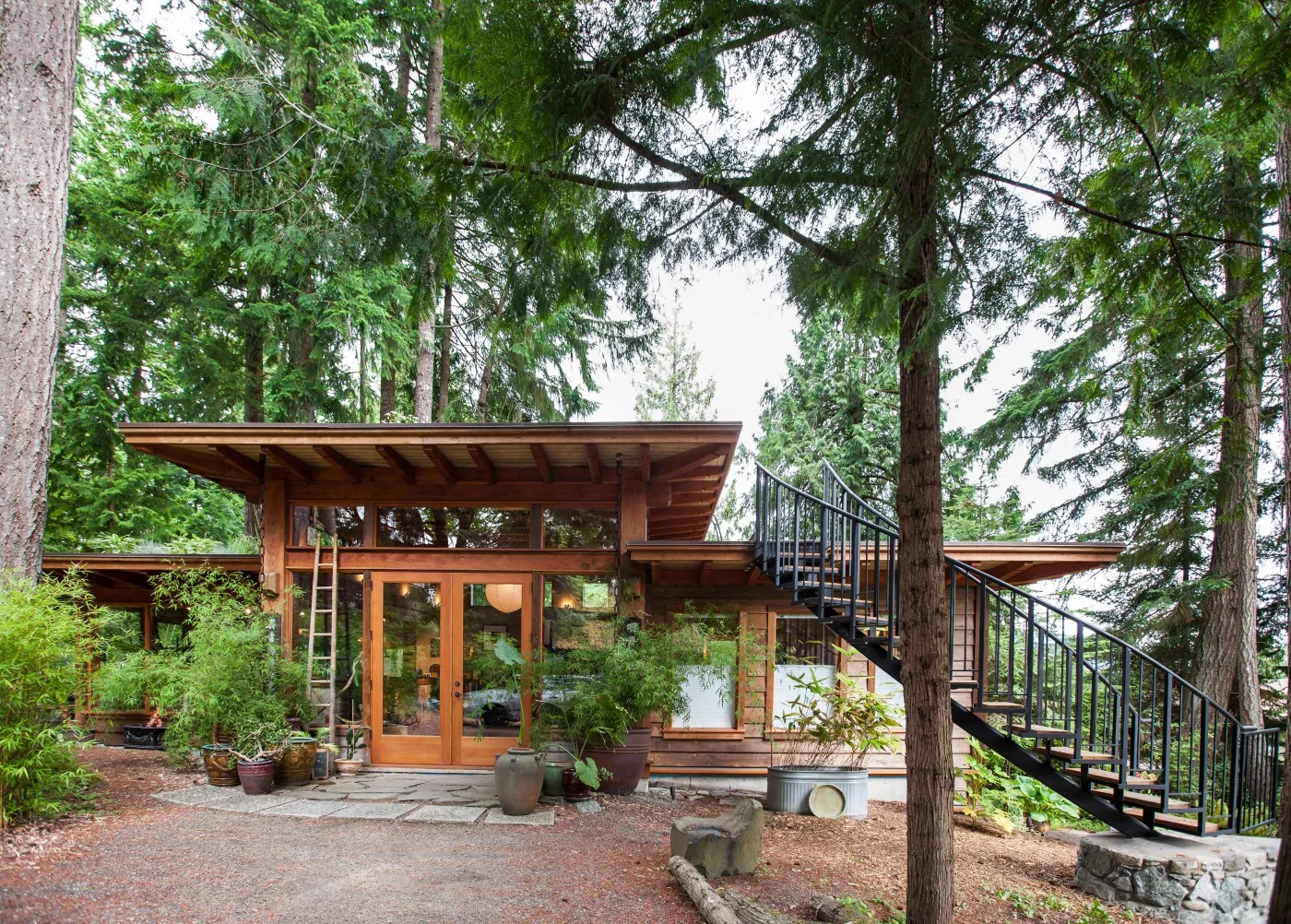 This Off Grid Cabin Has a Living Roof! 