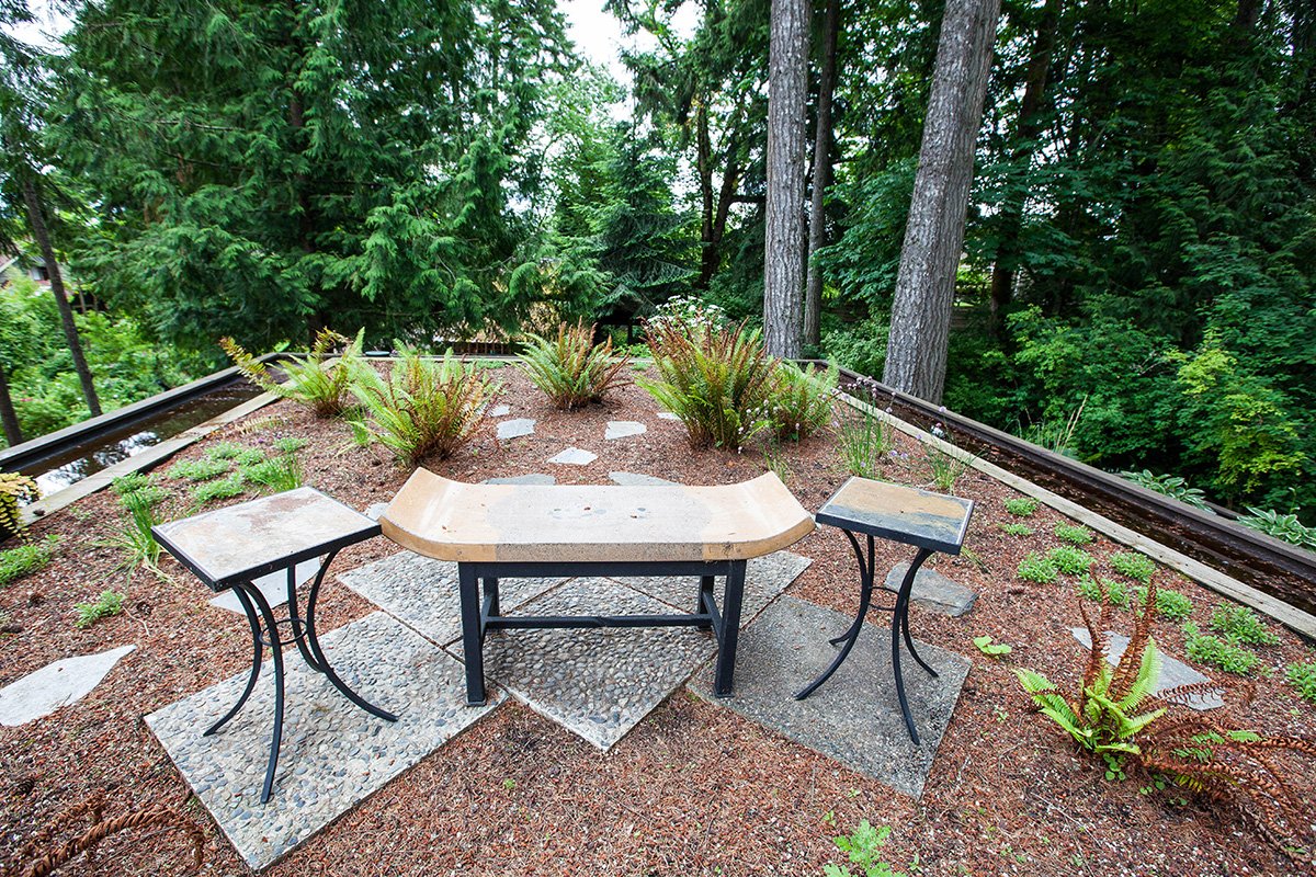 View of This Off Grid Cabin Has a Living Roof! – Sustainably Off-Grid