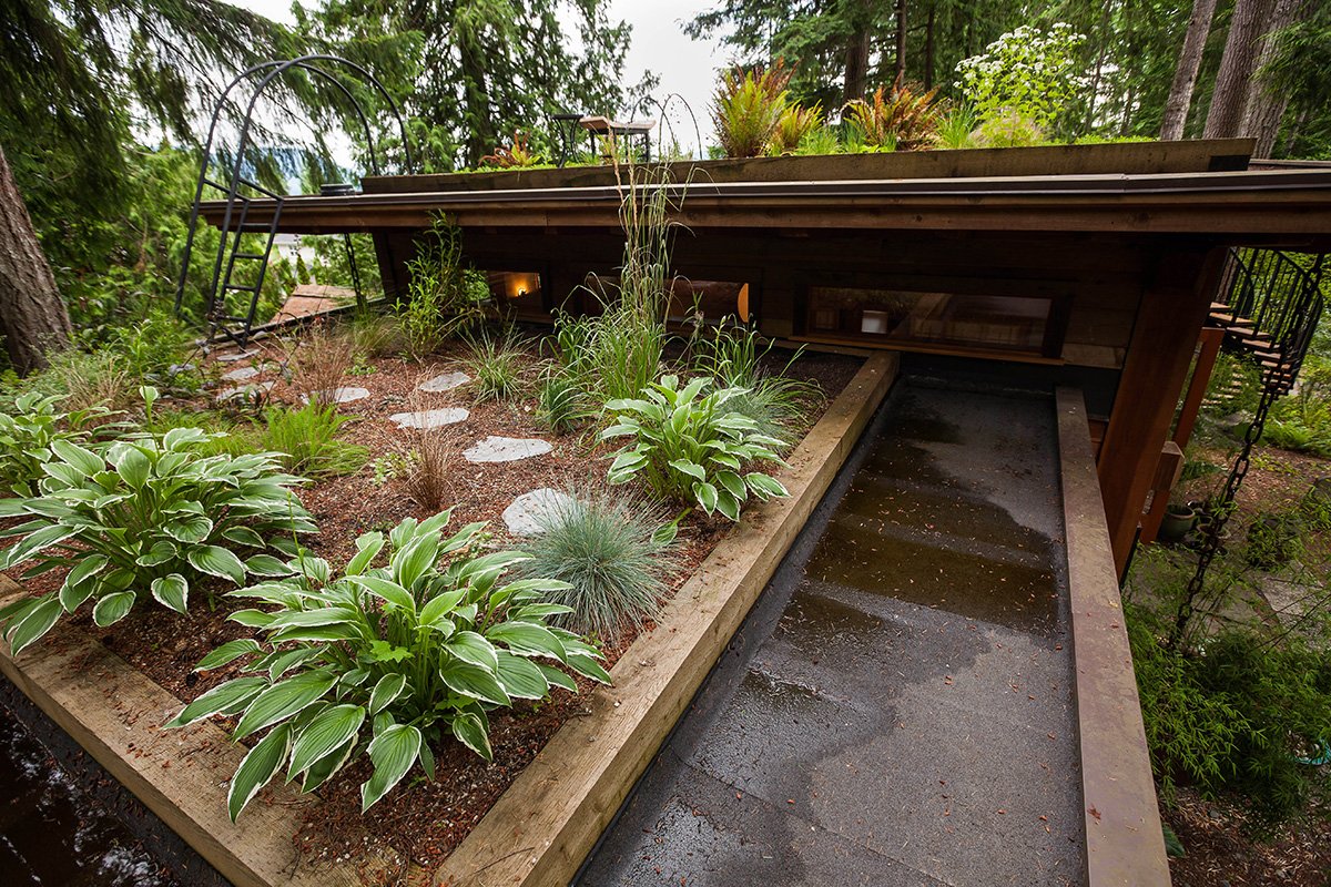 Picture of This Off Grid Cabin Has a Living Roof! – Sustainably Off-Grid