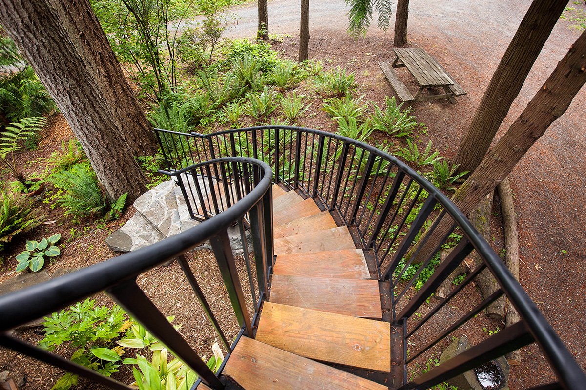 View of This Off Grid Cabin Has a Living Roof! – Sustainably Off-Grid