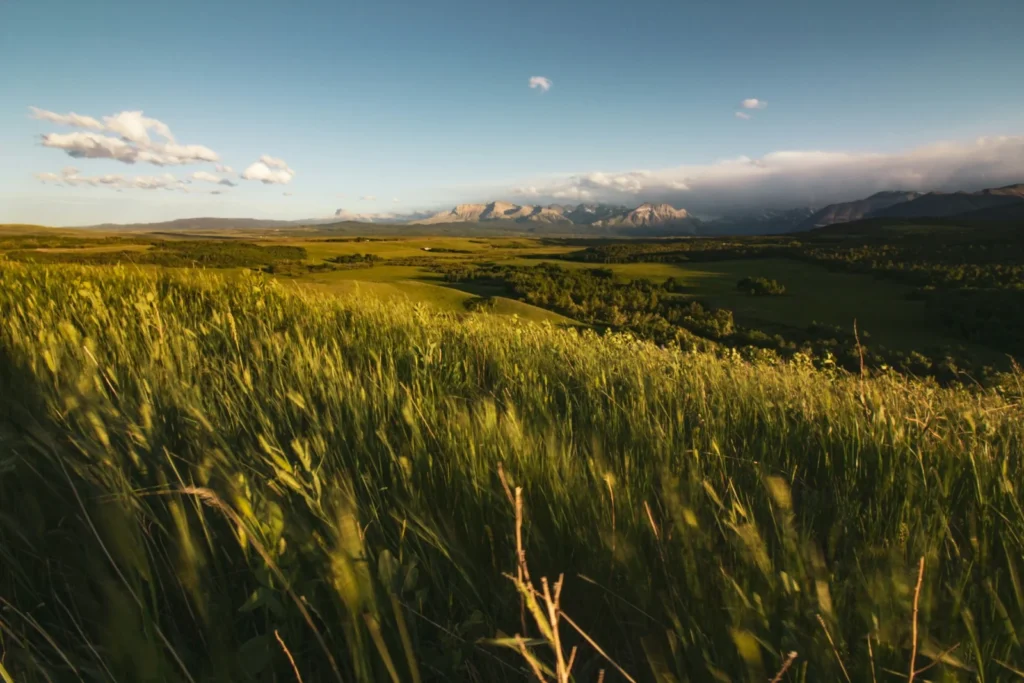 off-grid-living-in-alberta