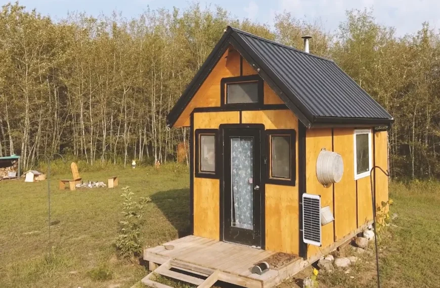 Building an Off-Grid Cabin in 12 Days 