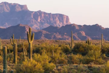 What are the Best Counties for Off the Grid Living in Arizona?