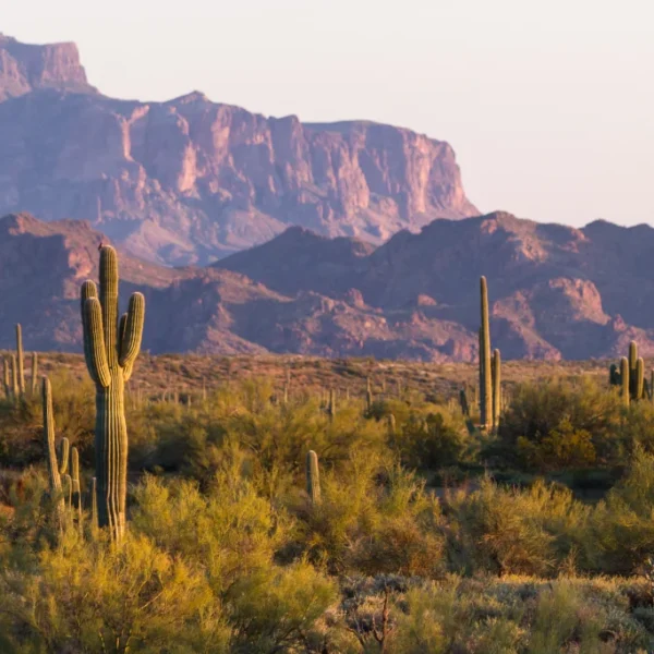 What are the Best Counties for Off the Grid Living in Arizona?