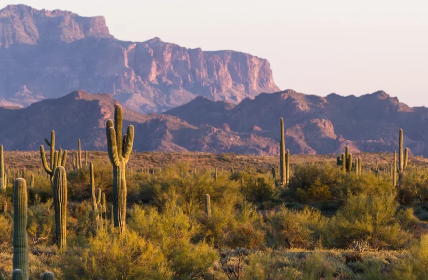 What are the Best Counties for Off the Grid Living in Arizona?