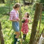 What to Look for When Buying a Homestead