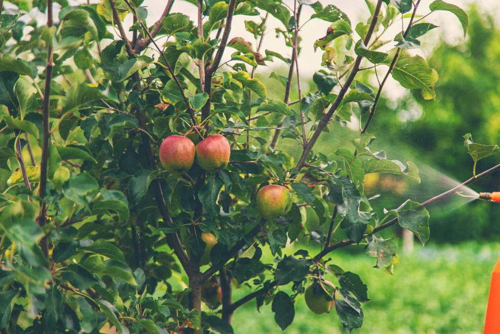 best trees to grow on a homestead