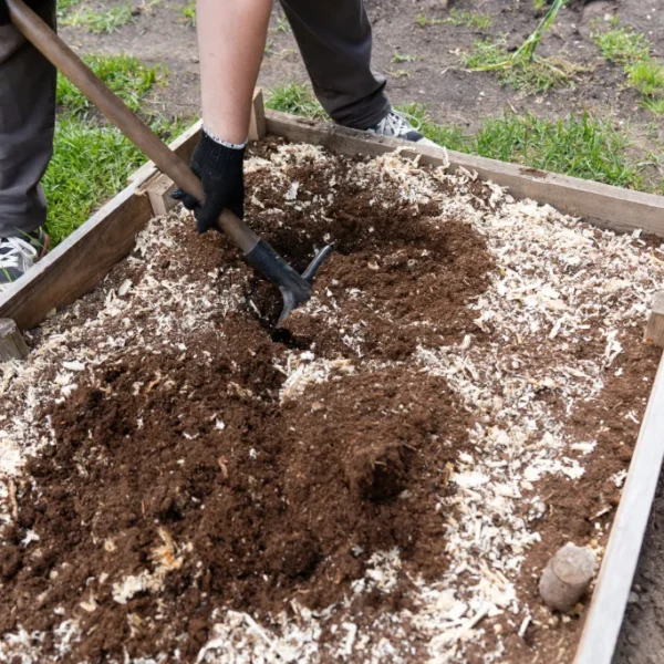 12 Cheap Ways to Fill a Raised Bed