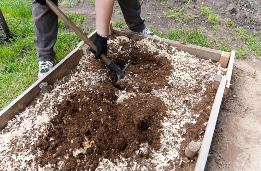12 Cheap Ways to Fill a Raised Bed 