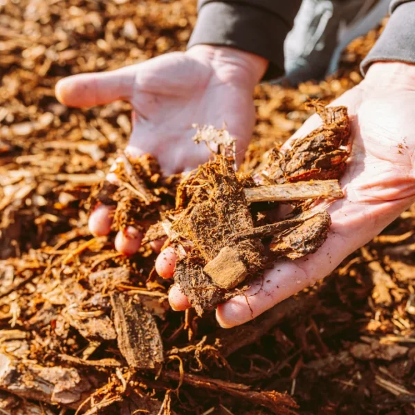 How Long Does Mulch Last?