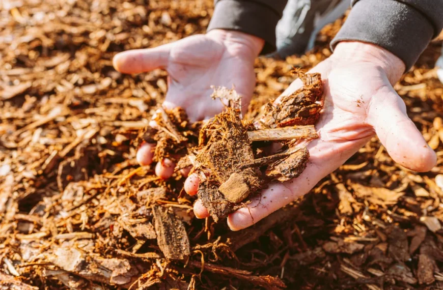 How Long Does Mulch Last?