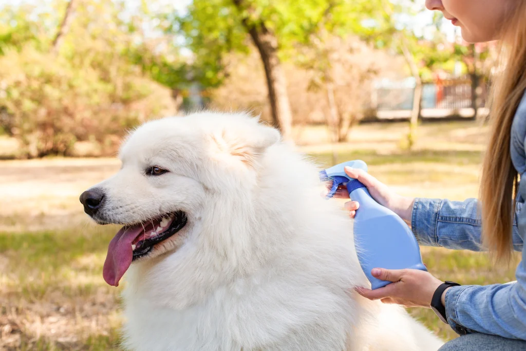 love-friendship-caring-for-animals