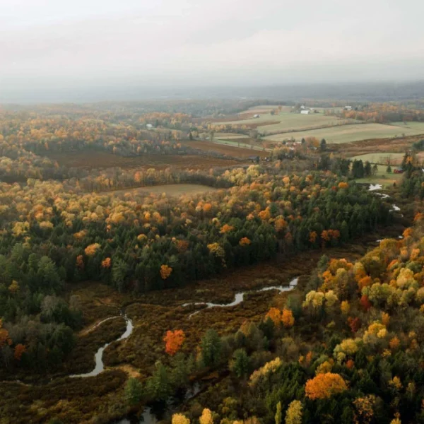 How to Live Off-Grid in Pennsylvania (What You Should Know)