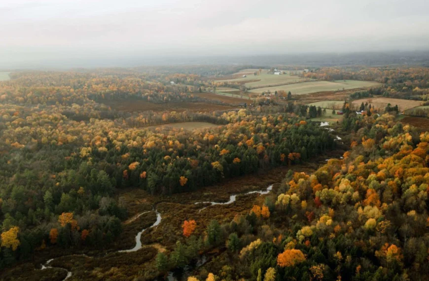 How to Live Off-Grid in Pennsylvania (What You Should Know)