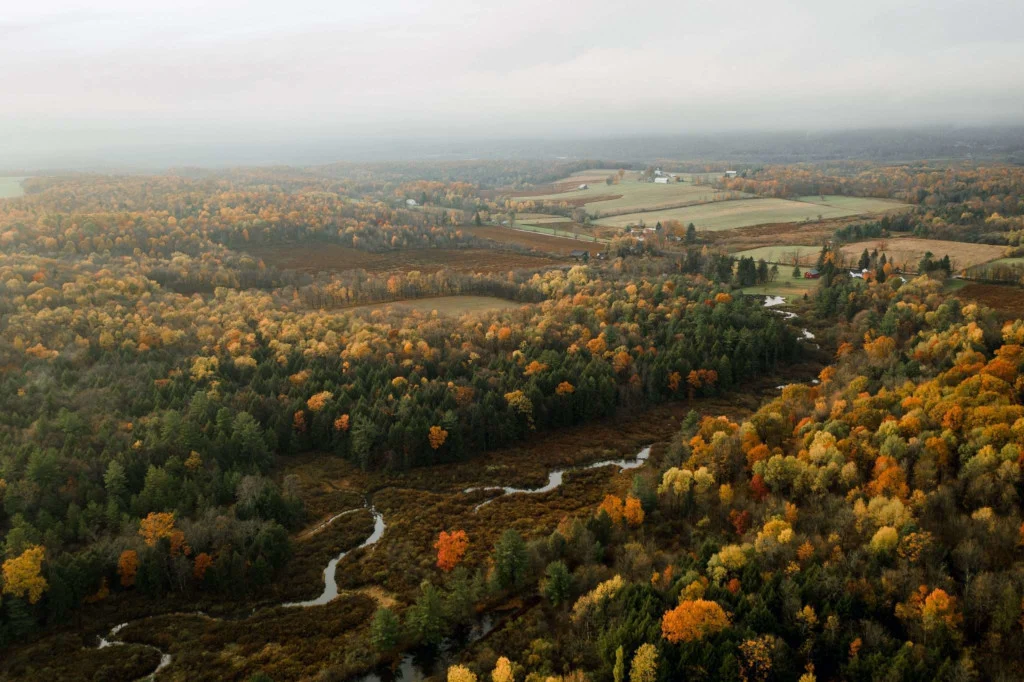How to Live Off-Grid in Pennsylvania (What You Should Know)