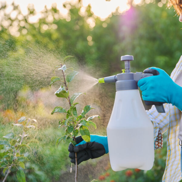 how-to-make-caffeine-spray