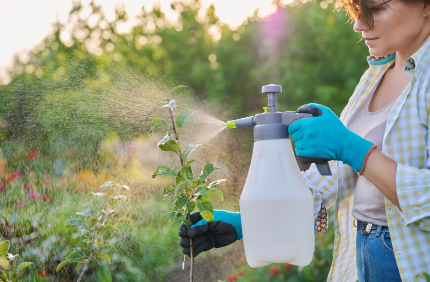 how-to-make-caffeine-spray