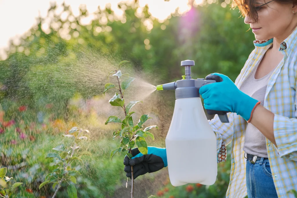 How To Make Caffeine Spray For Slugs And Other Pests