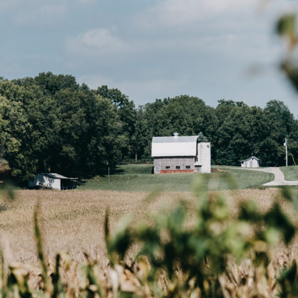 living off grid in illinois