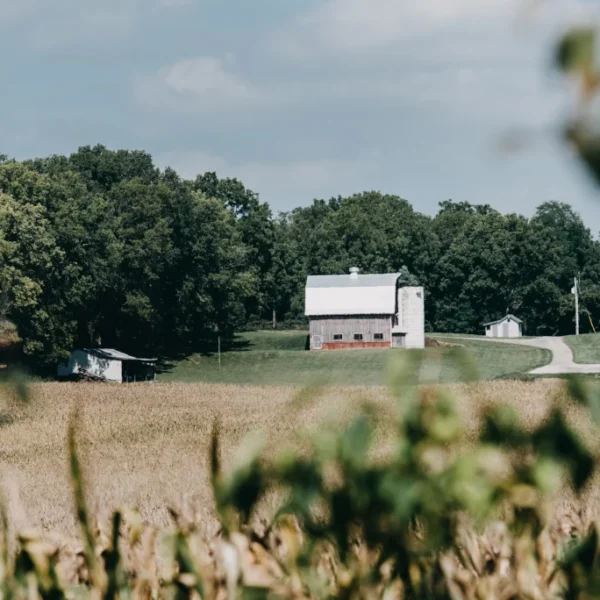 living off grid in illinois