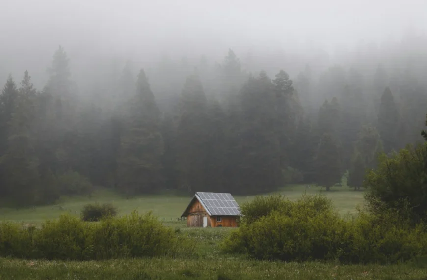 living partially off the grid
