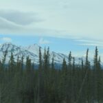 off-grid-living-in-the-northwest-territories